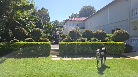 South American Compound — view 16