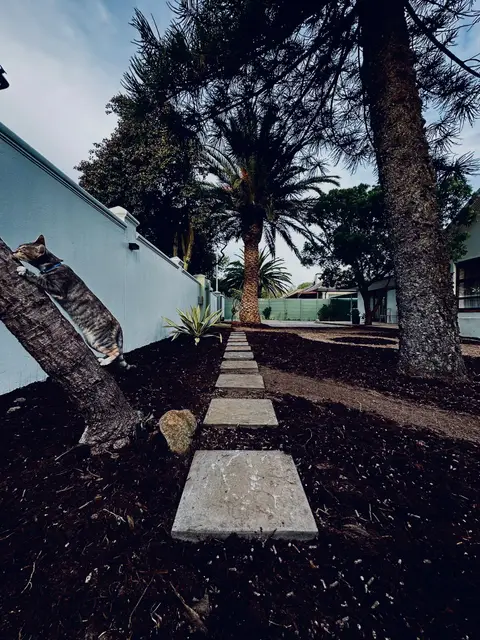 Modern Indigenous — Blended — view 5