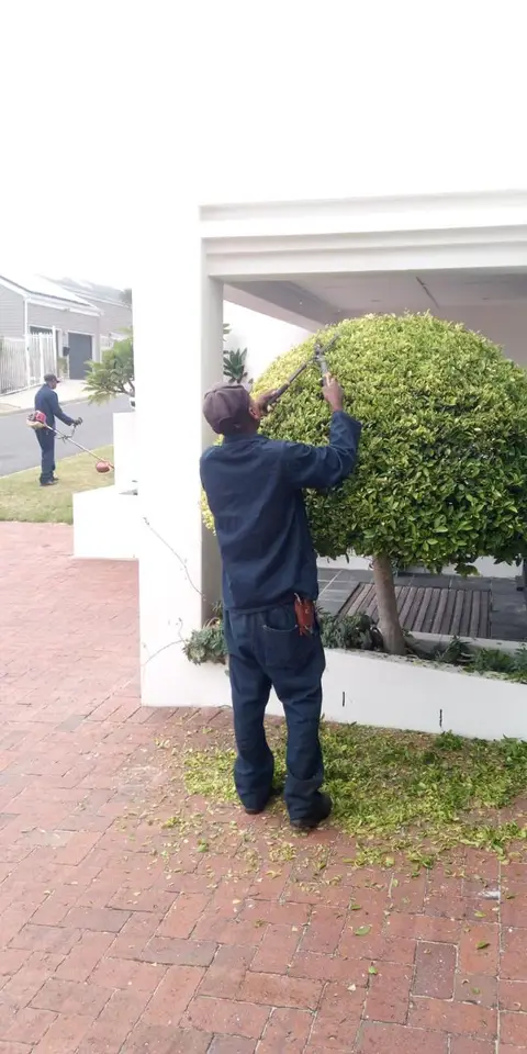 Team member trimming bush