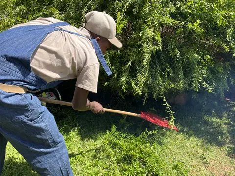 Team member raking garden