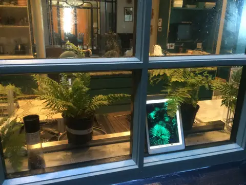 Floristic Shop Front — view 6