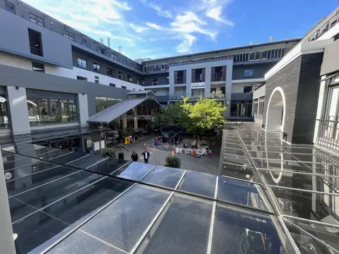 Piazza Trees — view 2