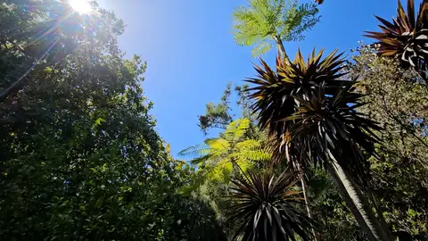 South American Compound — view 7