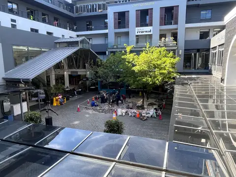 Piazza Trees — view 3