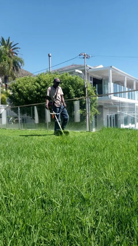 Team member trimming grass